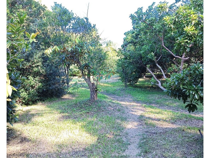 22-24 Mooroondu Street, Coochiemudlo Island QLD 4184