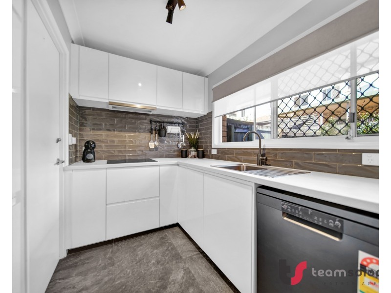 17/91 Wynyard Street, Cleveland QLD 4163