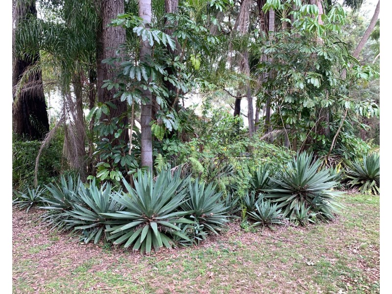 36 Perulpa Street, Coochiemudlo Island QLD 4184
