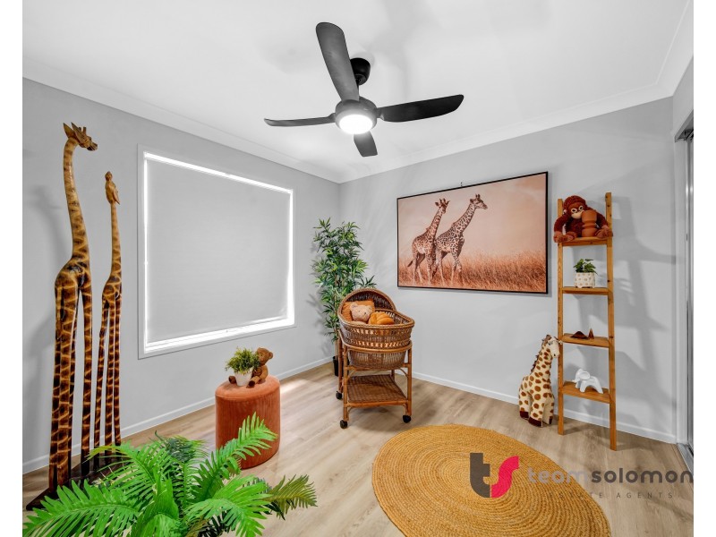 4 Tanderra Street, Cleveland QLD 4163
