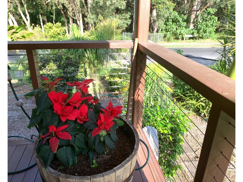 60 Elizabeth Street, Coochiemudlo Island QLD 4184