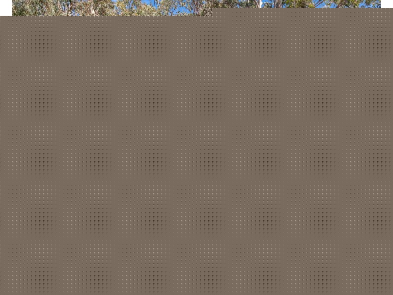 17 Sandringham Street, Alexandra Hills QLD 4161