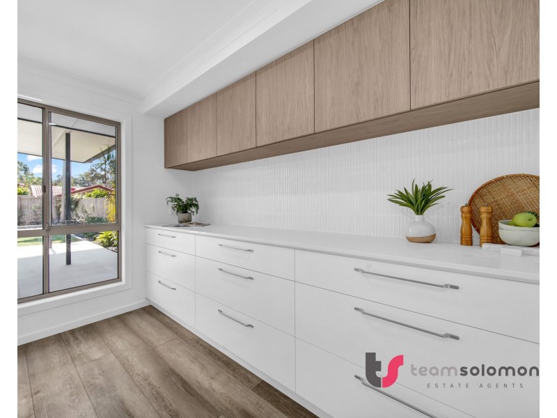 13 Dunwich Street, Cleveland QLD 4163