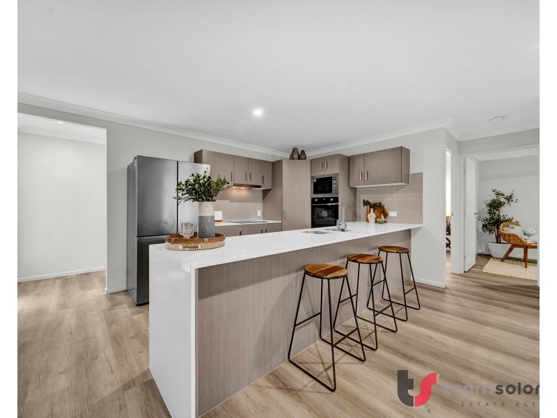 19 Channel Street, Cleveland QLD 4163