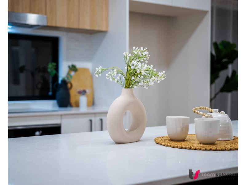 20 Tremont Street, Capalaba QLD 4157