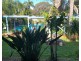 7/10-16 Dawn Street, Coochiemudlo Island QLD 4184