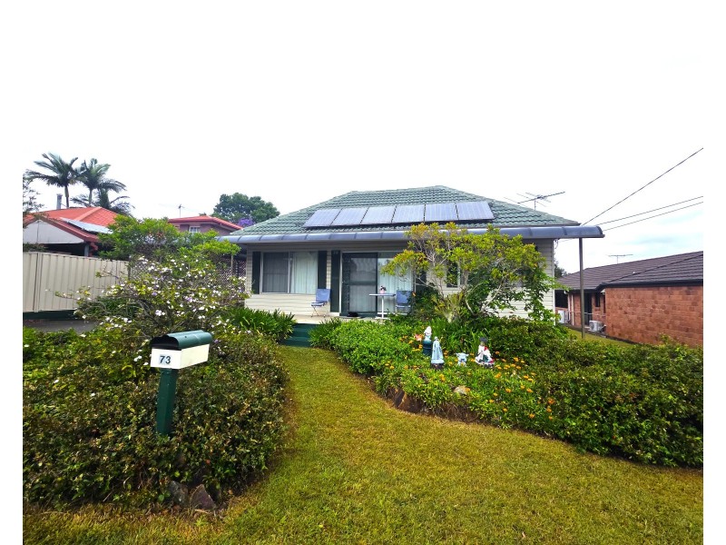 73 Hammersmith Street, Coopers Plains QLD 4108