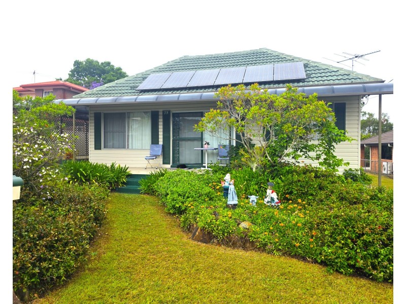73 Hammersmith Street, Coopers Plains QLD 4108