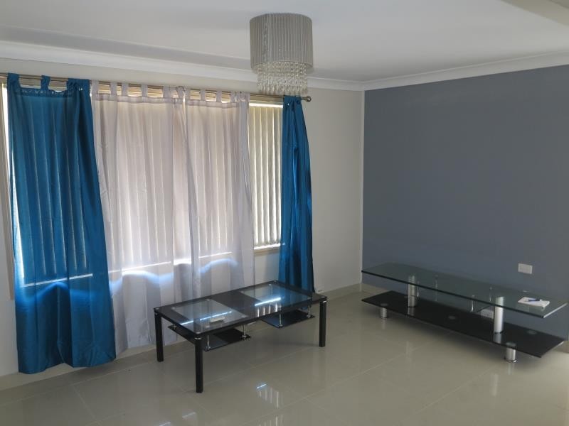 100 St Johns Road, Heckenberg NSW 2168