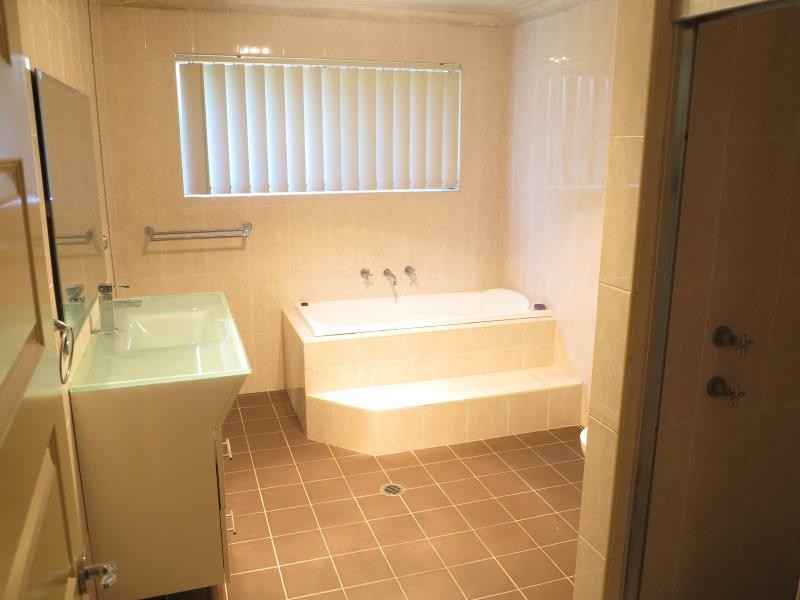 297 Elizabeth Drive, Mount Pritchard NSW 2170