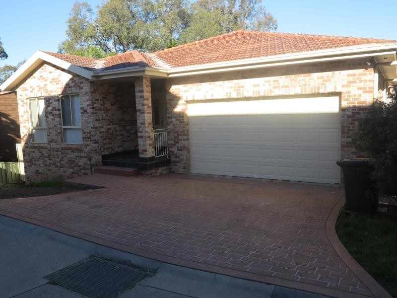 299 ELIZABETH DRIVE, Mount Pritchard NSW 2170