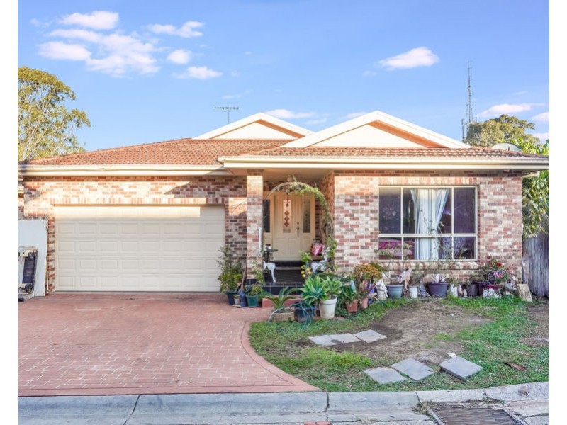 297 Elizabeth Drive, Mount Pritchard NSW 2170