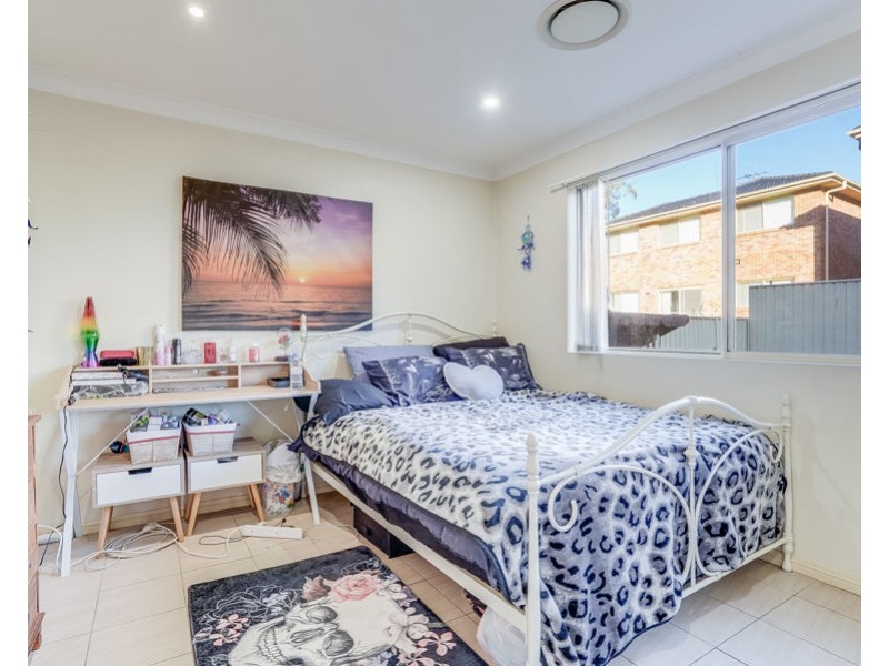 297 Elizabeth Drive, Mount Pritchard NSW 2170