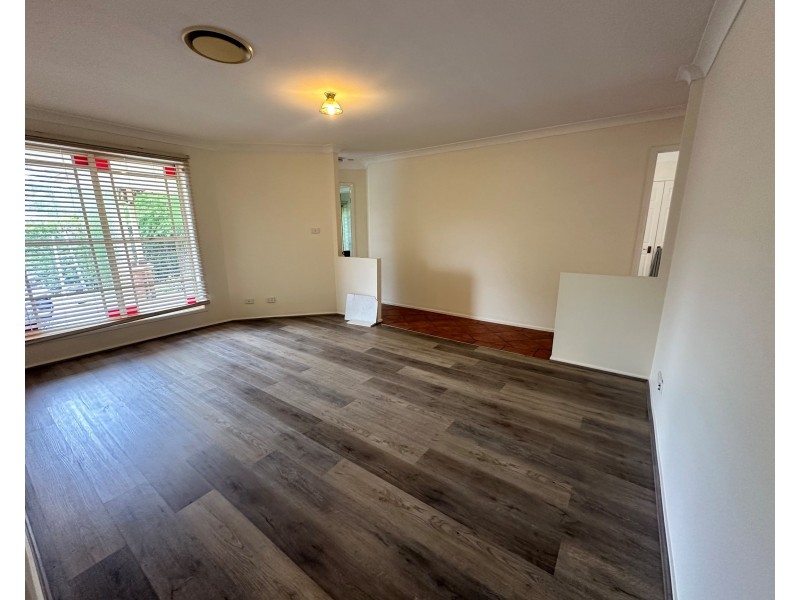 63 Helena Rd, Cecil Hills NSW 2171