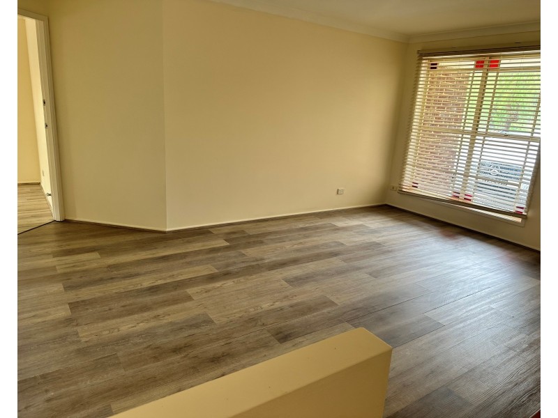 63 Helena Rd, Cecil Hills NSW 2171