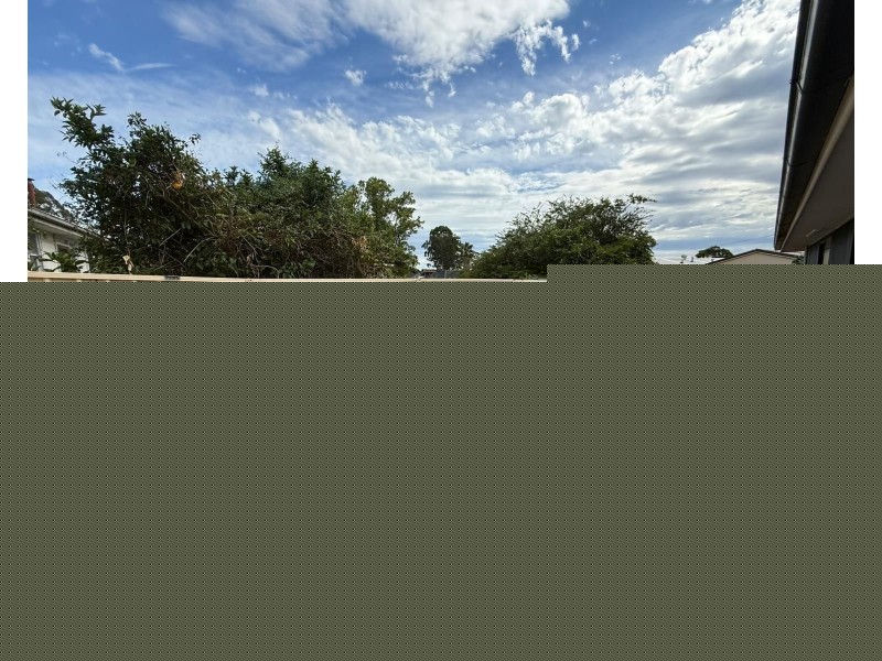 96A St Johns Rd, Heckenberg NSW 2168