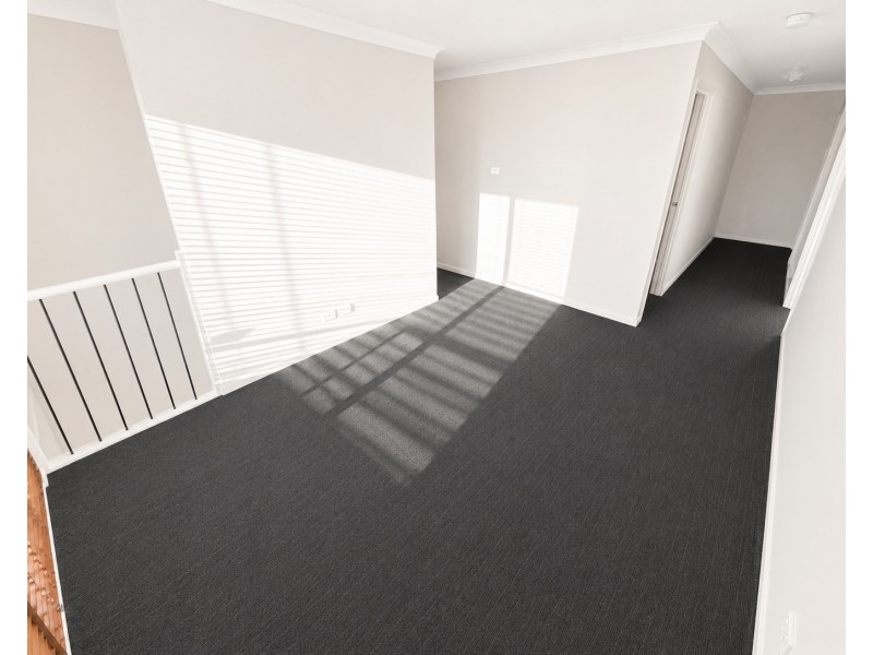93 Diamond Hill Cct, Edmondson Park NSW 2174