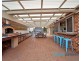 12 Nelligen Cl, Prestons NSW 2170