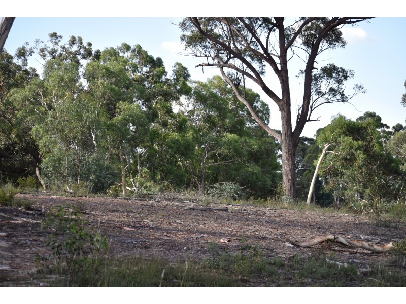 85 Morris Place, Little Hartley NSW 2790