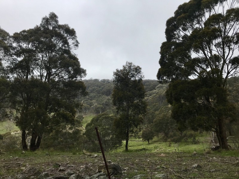 884 Hampton Road, Hampton NSW 2790