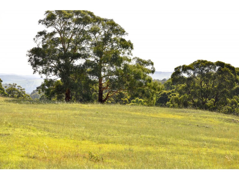 102-112/112 Coxs River Road, Little Hartley NSW 2790