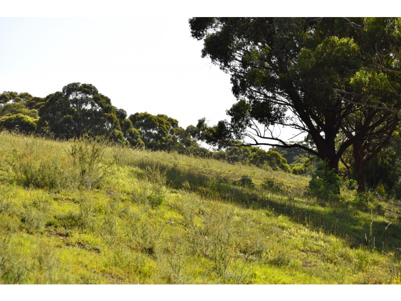 102-112/112 Coxs River Road, Little Hartley NSW 2790