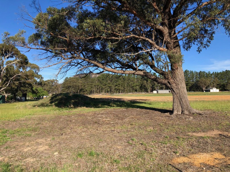 11 Bruwalin Place, Hartley NSW 2790