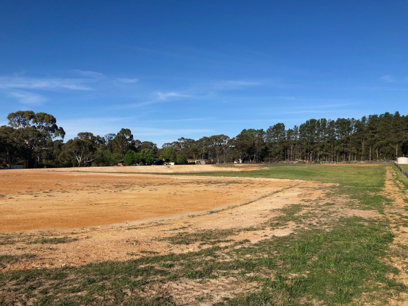 11 Bruwalin Place, Hartley NSW 2790