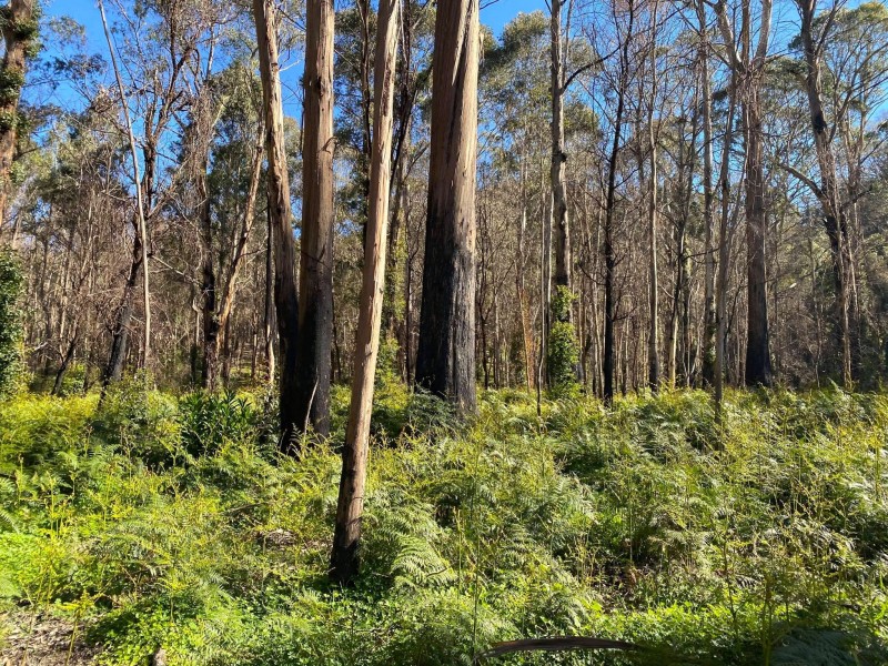 21-39 Lawsons Long Alley, Mount Victoria NSW 2786