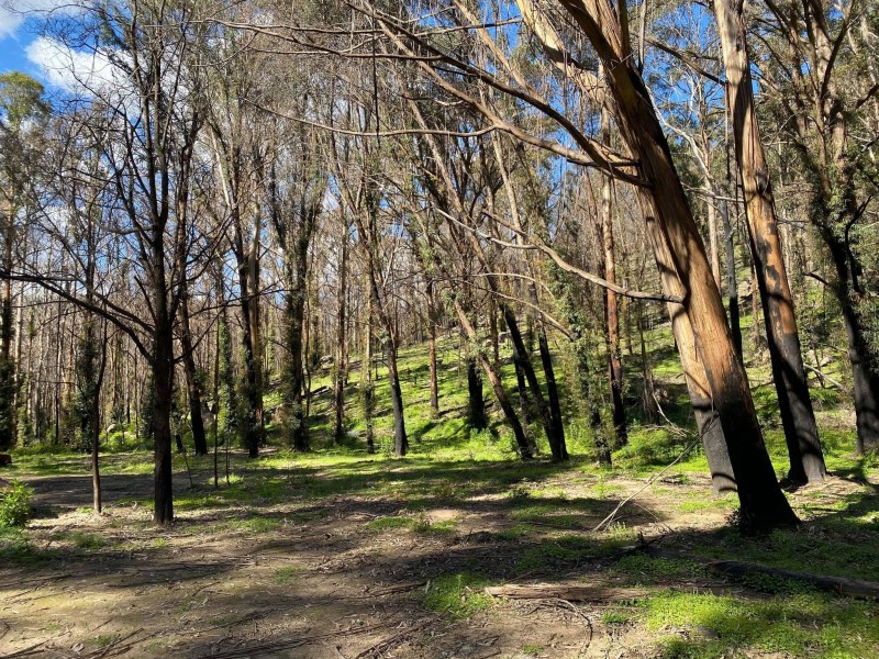 21-39 Lawsons Long Alley, Mount Victoria NSW 2786