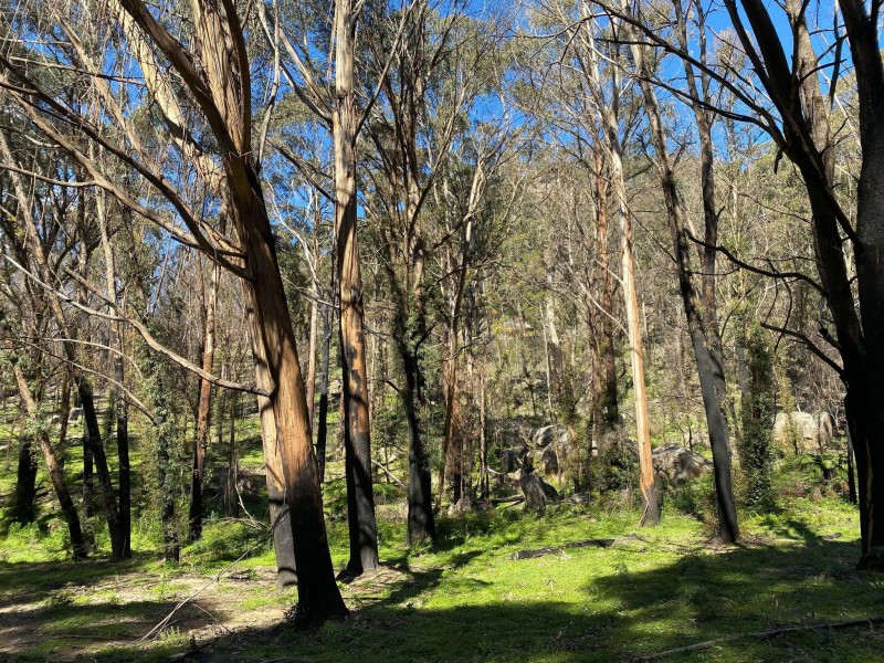 21-39 Lawsons Long Alley, Mount Victoria NSW 2786