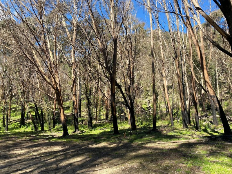 21-39 Lawsons Long Alley, Mount Victoria NSW 2786