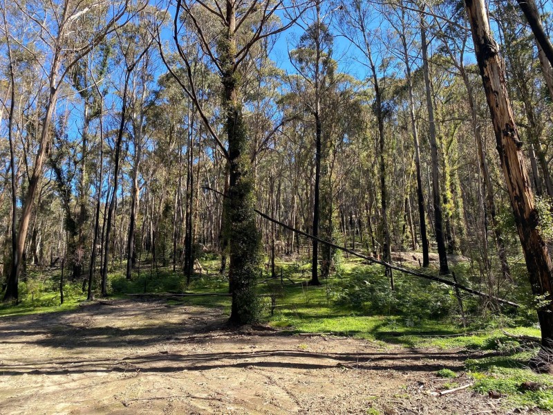 21-39 Lawsons Long Alley, Mount Victoria NSW 2786