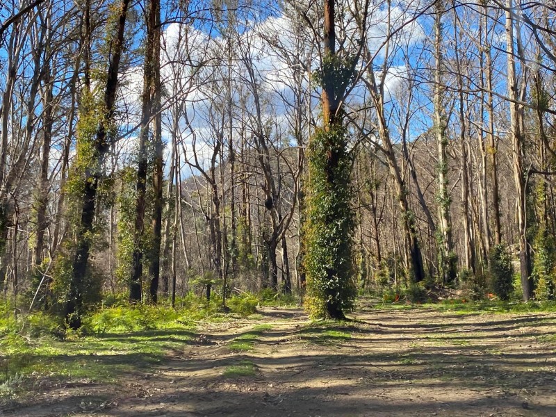 21-39 Lawsons Long Alley, Mount Victoria NSW 2786