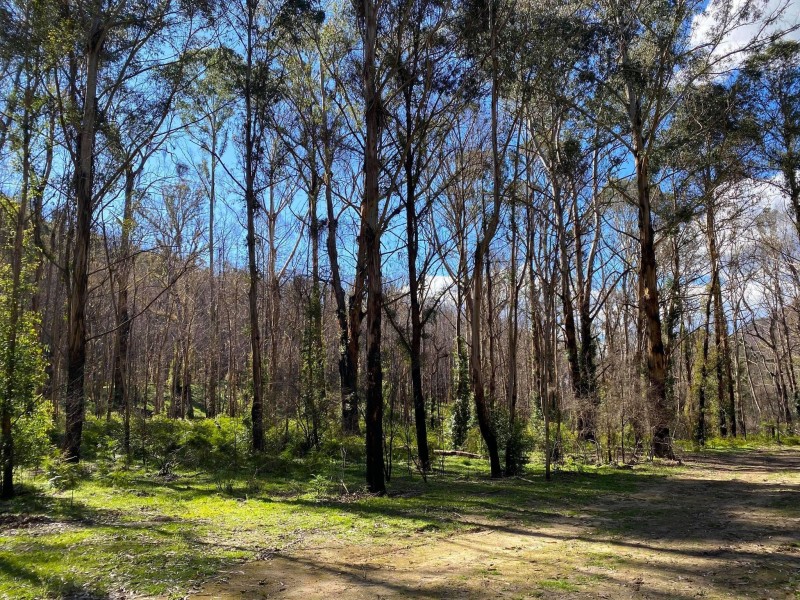 21-39 Lawsons Long Alley, Mount Victoria NSW 2786