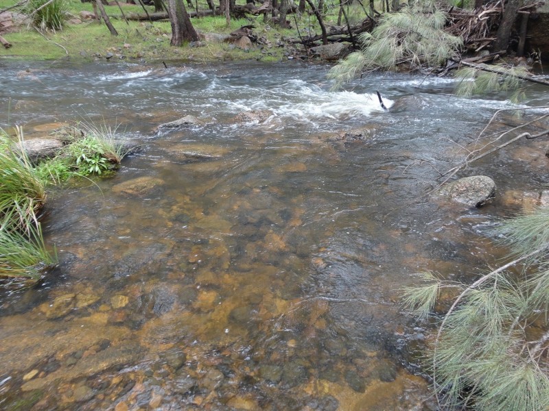 186 KANIMBLA DRIVE, Kanimbla NSW 2790