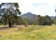 257 Browns Gap Road, Hartley NSW 2790