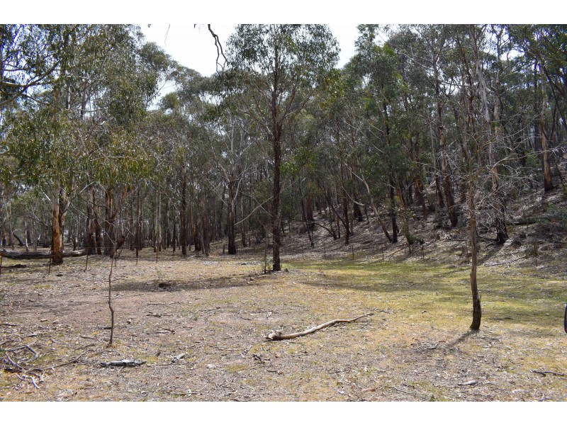 257 Browns Gap Road, Hartley NSW 2790
