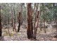 257 Browns Gap Road, Hartley NSW 2790