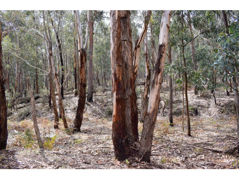 257 Browns Gap Road, Hartley NSW 2790