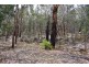 257 Browns Gap Road, Hartley NSW 2790