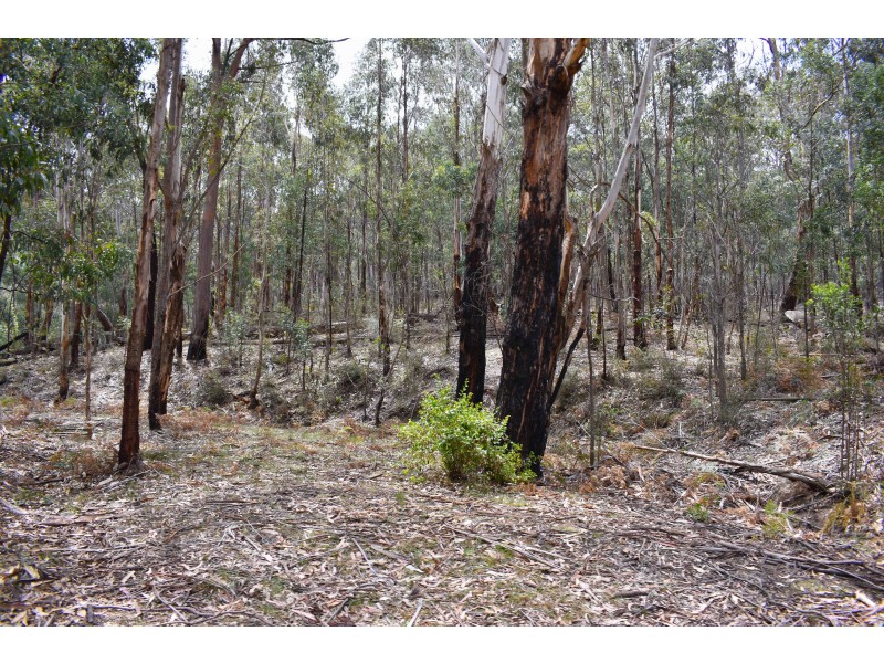 257 Browns Gap Road, Hartley NSW 2790