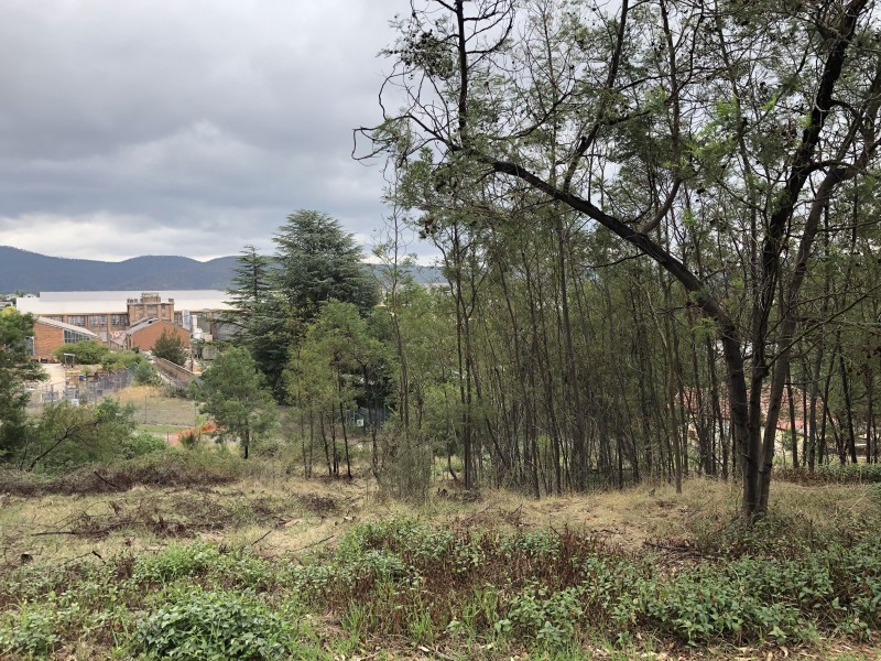 88 Wrights Road, Lithgow NSW 2790