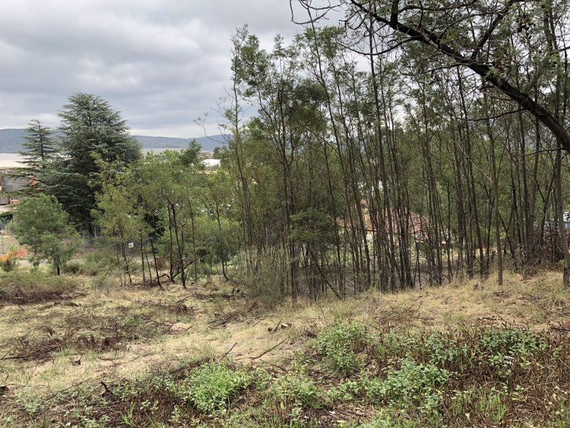 88 Wrights Road, Lithgow NSW 2790