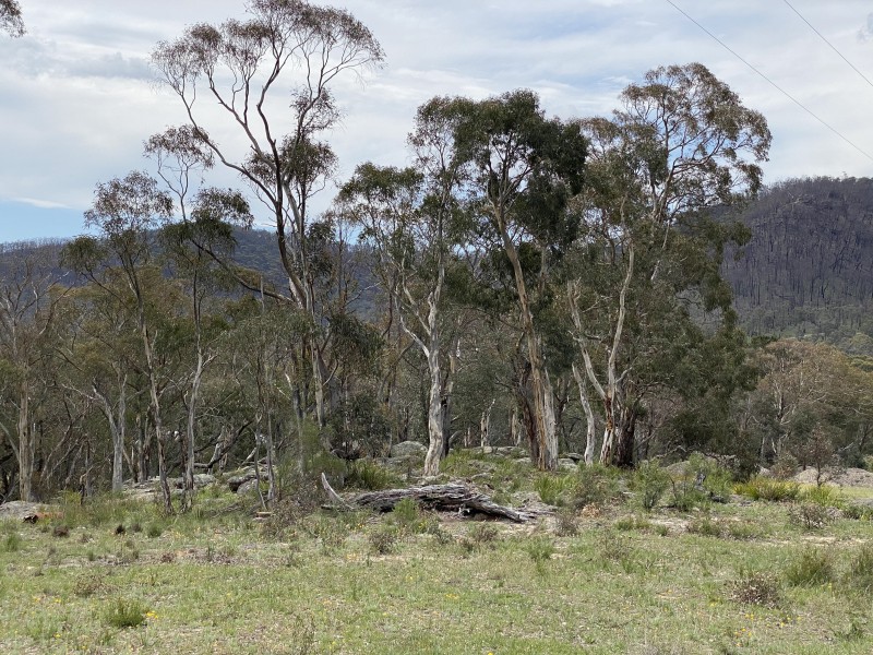 104/Lot 104 Springvale Lane, Lidsdale NSW 2790