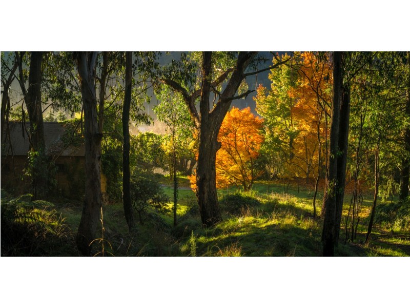 154 Macaulay Street, Morts Estate NSW 2790