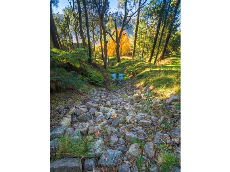 154 Macaulay Street, Morts Estate NSW 2790