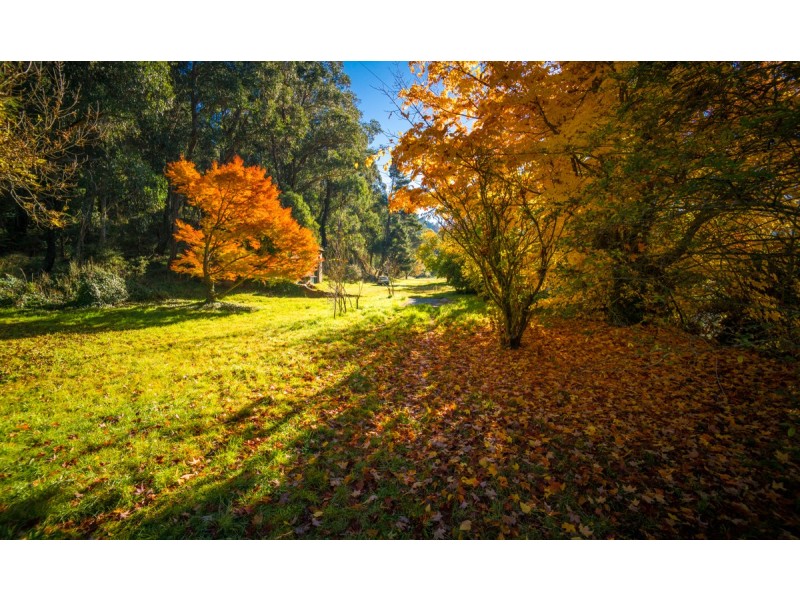154 Macaulay Street, Morts Estate NSW 2790