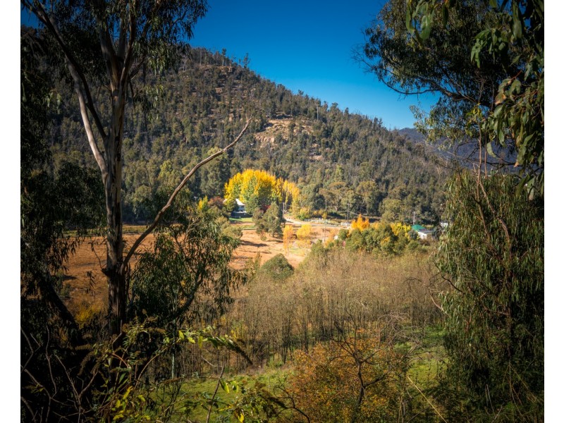 154 Macaulay Street, Morts Estate NSW 2790