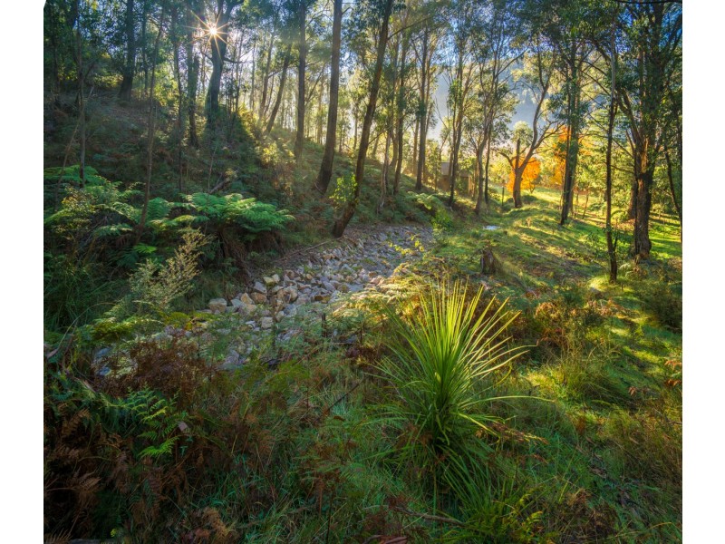 154 Macaulay Street, Morts Estate NSW 2790